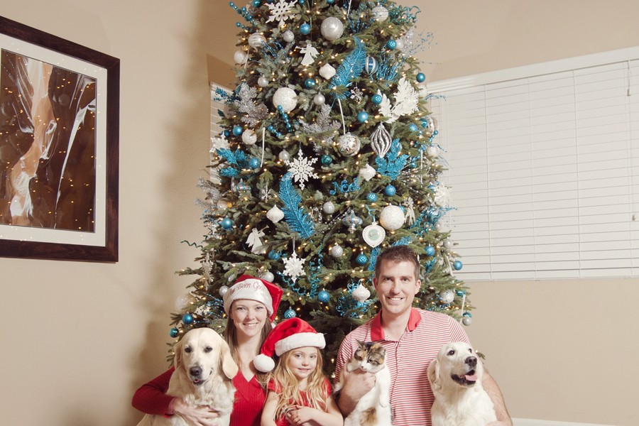 golden retriever Christmas