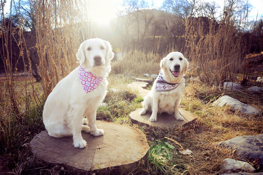 Alice and Tina in Oak Glen