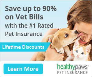 Healthy Paws Pet Insurance and Foundation.