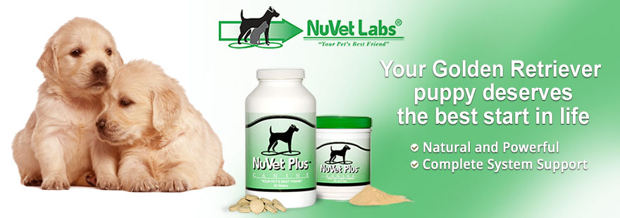 nuvet supplements