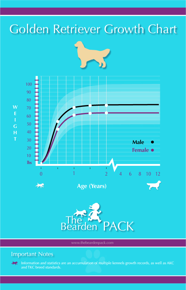 Average Weight Of Golden Retriever Chart